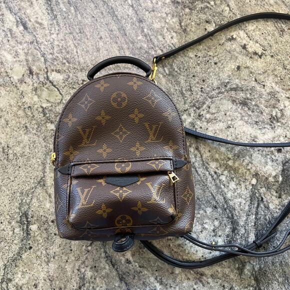 Louis Vuitton Palm Springs Mini Backpack Monogram